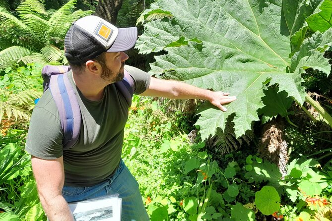 Golden Gate Parks Hidden Gems, Highlights and History - Historical Significance of Golden Gate Park