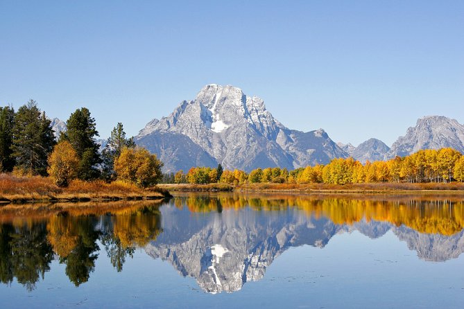 Grand Teton Wildlife Safari Tour - Safety and Age Requirements