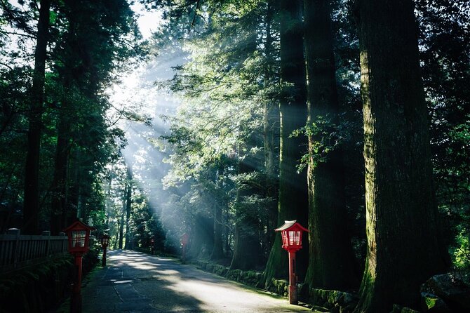 Group 1 Day Tour of Mt. Fuji and Hakone: Onsen, Arts, and Nature - Accessibility and Additional Information