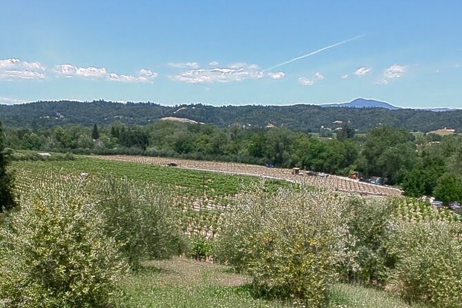 Guided Electric Bike Wine Tour Through Sonoma County - Meeting Point and Start Time