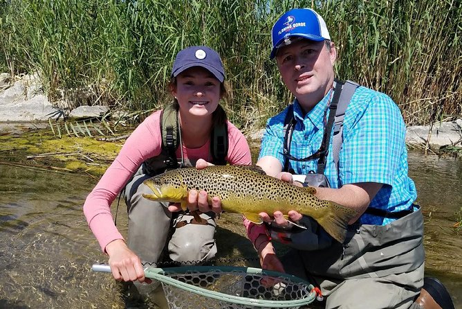 Guided Fly Fishing Experience in Park City - Focus on Feeding Habits, Locations, and Ecosystem