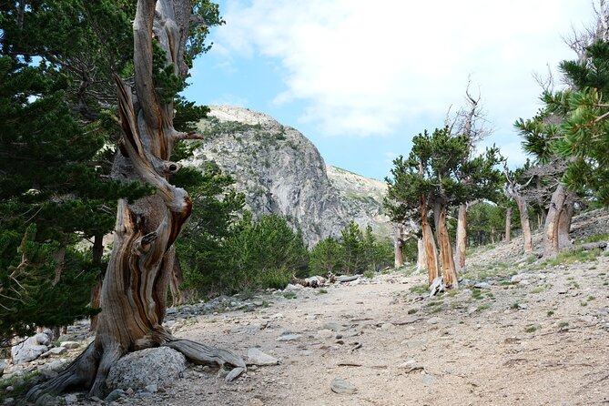 Guided Hike in Rockies - Half Day Trip - Inclusions and What to Expect