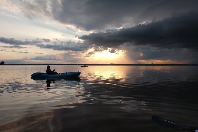 Guided Kayak Tour With Manatee & Dolphin Sightings - Accessibility and Transportation