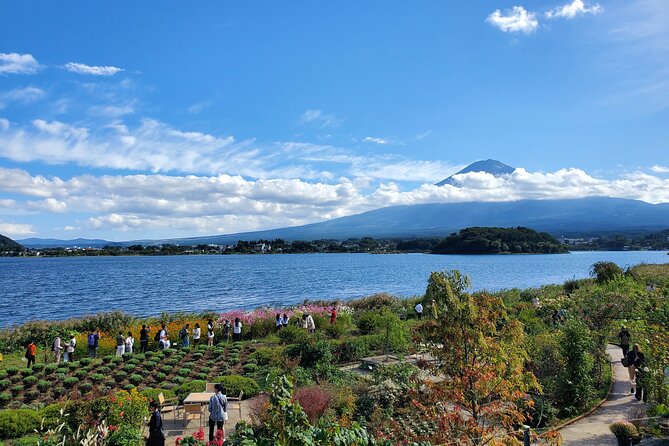Guided Shimizu Port to Mt. Fuji Private Tour GREEN NUMBER PLATES - Important Information