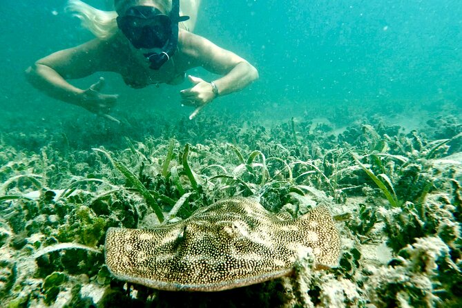 Guided Snorkel Experience, Free Videos in West Palm Beach - Complimentary Underwater Video