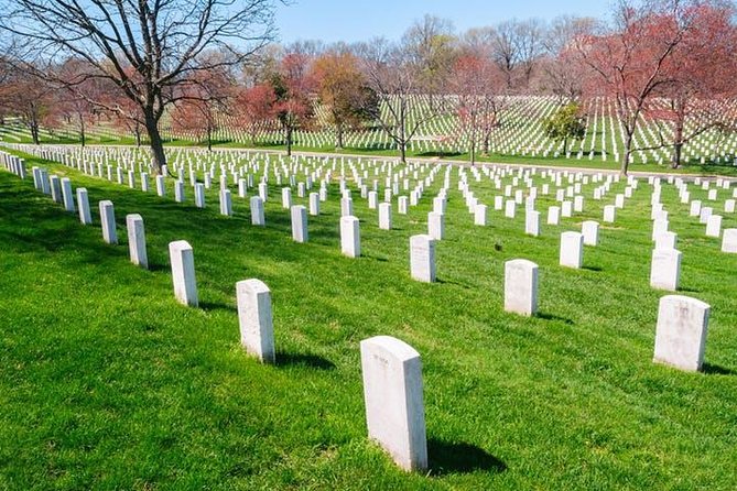 Guided Tour of Arlington Cemetery With Changing of the Guards - Accessibility and Requirements