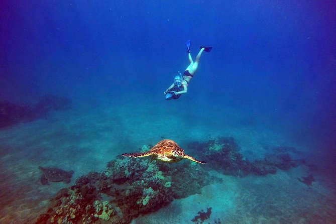 Guided Turtle Town Snorkel Tour With Sea Scooter - Makena - Accessibility and Physical Requirements
