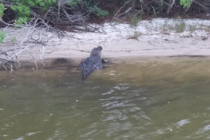 Guided Two Hour Boat Tour of the Indian River Lagoon - Accessibility and Amenities