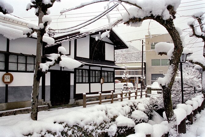 Gujo, Hida Takayama, and Shirakawa-Go Day Tour From Nagoya - Tour Inclusions
