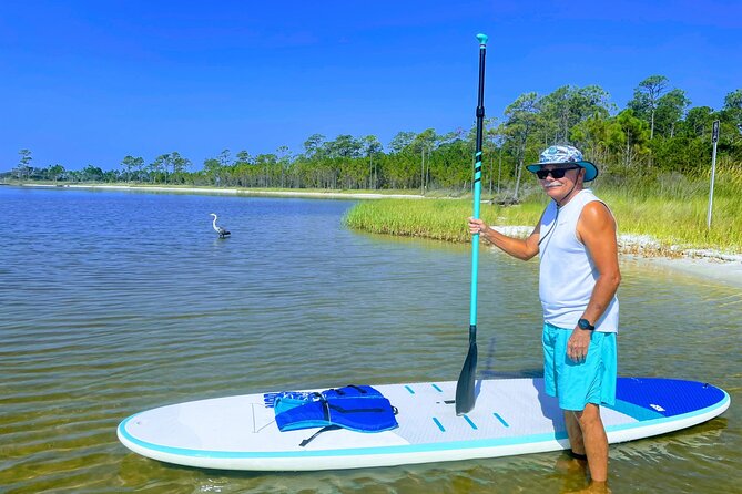 Gulf Shores Stand up Paddle Boarding Lesson and Tour - Wildlife Encounters: Sea Turtles and More