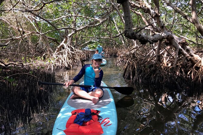 Half Day Excursion to Johns Pass Sandbar & Mangrove Tunnel - Equipment Options