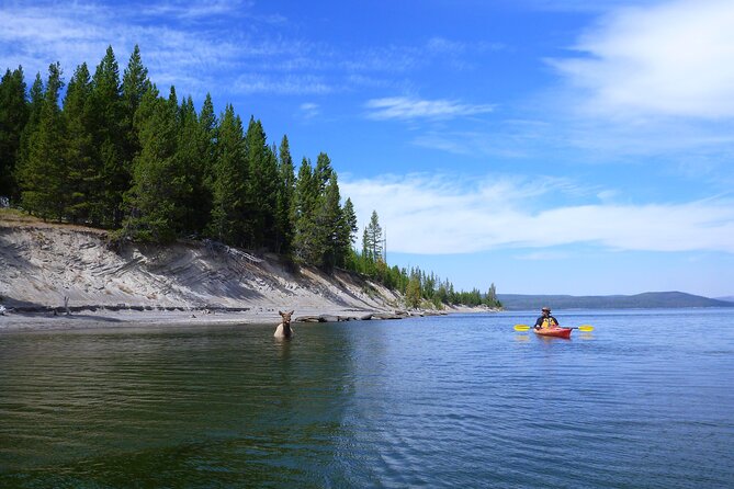 Half Day Paddle on Yellowstone Lake - Weather Considerations