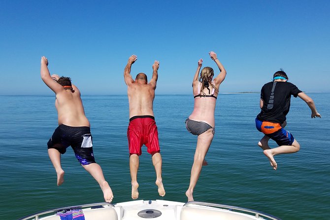 Half-Day Private Boating On Black Hurricane - Indian Rocks Beach - Dolphin Watching: A Memorable Encounter