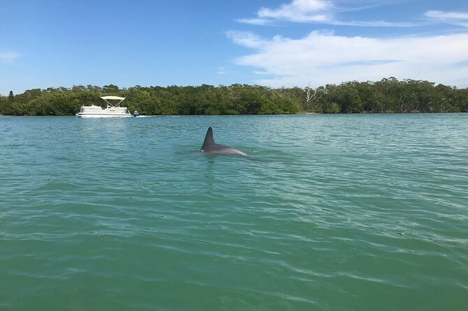 Half-Day Private Sarasota Charter Tour With Wildlife Watching - Customizable Experiences