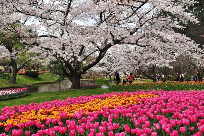 Hamamatsu Flower Park & Lake Hamana Private Tour With Public Bus - Meeting and Pickup