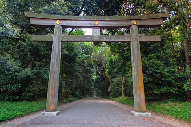Haneda Layover Tokyo Private Tour by Public Transportation - Additional Information