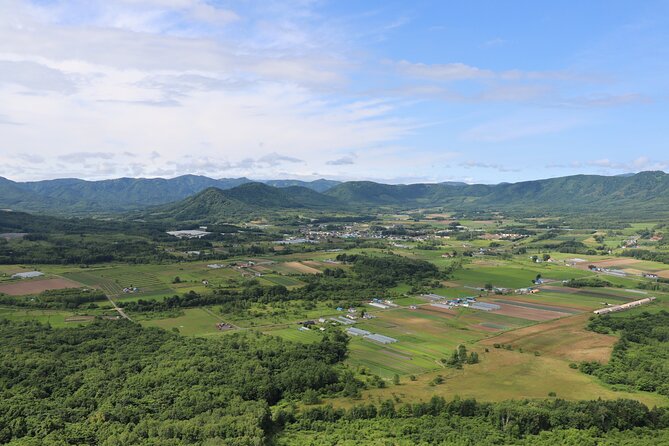 Harvest Experience in Akaigawa With Lunch Freshly Picked Veggies - Menu and Dining Experience