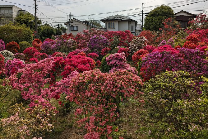 Hidden Temples Tour of Tokyo in Karasuyama - Experiencing the Serenity of Karasuyamas Religious Sites