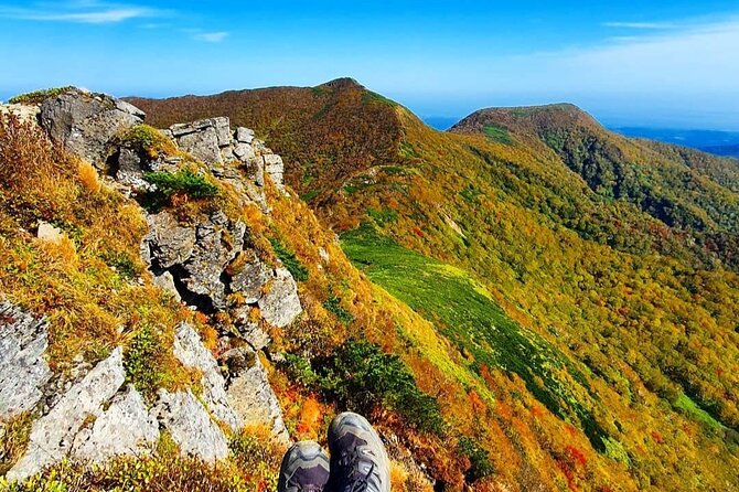 Hiking Day Trip From Niseko - What to Expect on the Tour