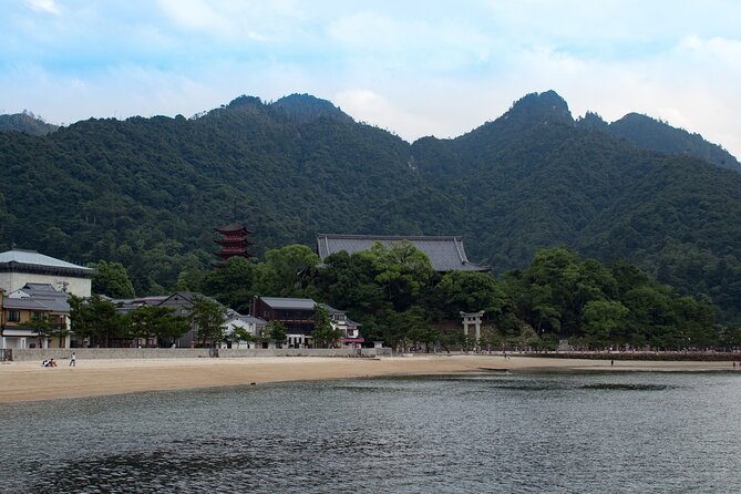 Hiroshima and Miyashima Private Spanish Tour - Participant Information