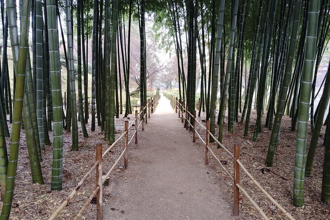 Hiroshima Shukkei-En Garden With Local Guide 90MIN - Garden History and Cultural Significance