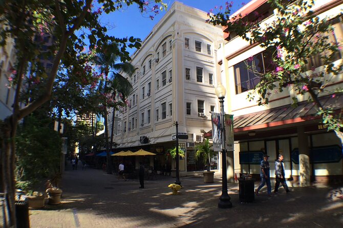 Historical Tour of Downtown Honolulu in Red Light District - Accessibility Features