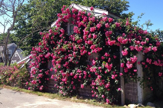 Historical Tour of Nantucket - Booking and Cancellation Policies
