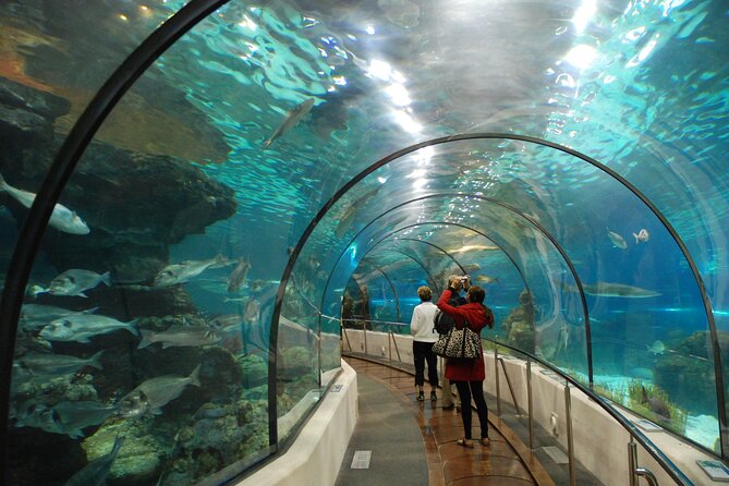 Hop On Hop Off Dallas Tour - Traveler Reviews