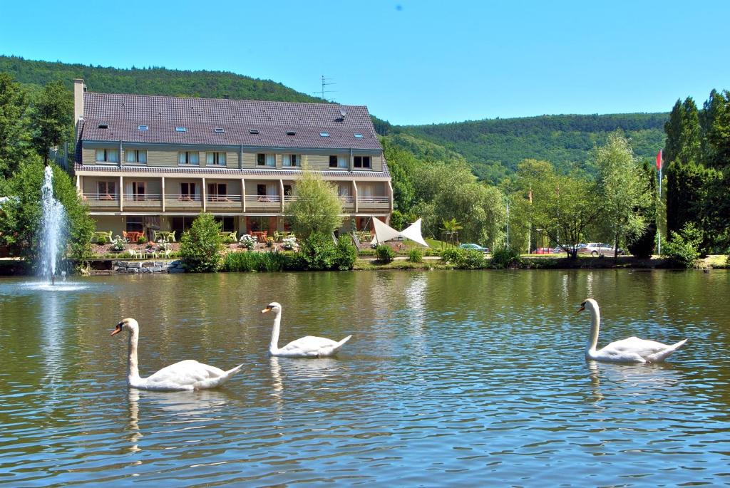 Hotel Du Lac - Dining Experience
