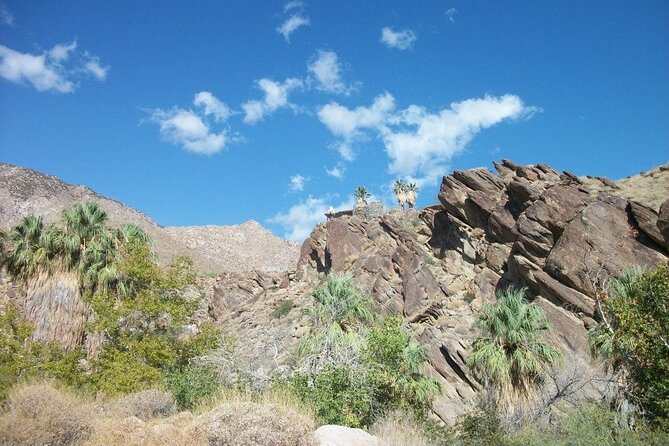 Indian Canyons Hiking Tour by Jeep From Palm Desert - Meeting and Pickup Details