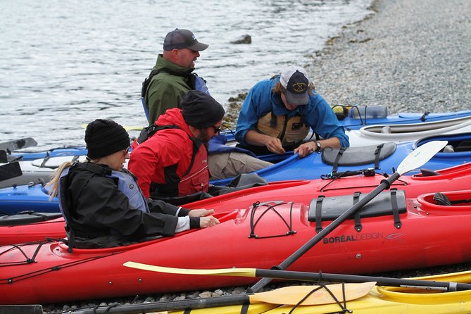 Inside Passage Sea Kayaking From Skagway - What to Expect on Your Tour