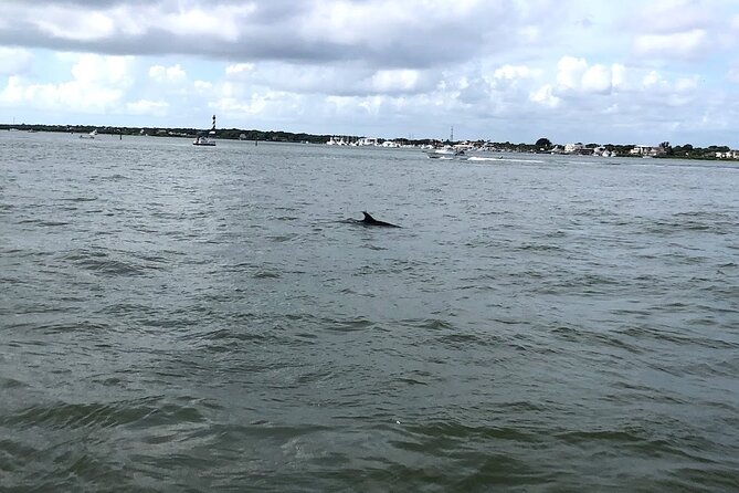 Jacksonville Private Boat Tour Daytime or Sunset, up to 6 People - Traveler Reviews