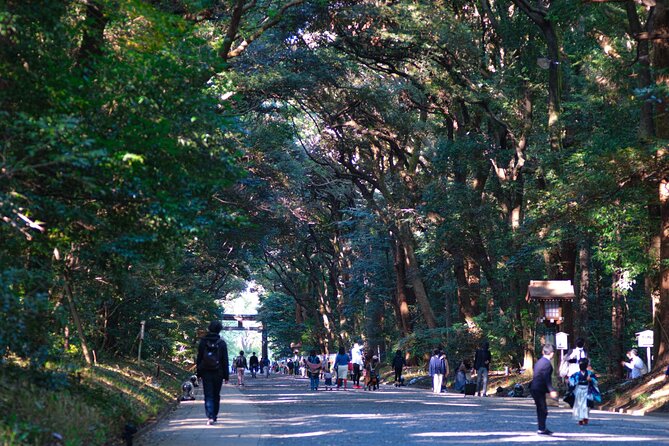 Japanese Food History and Art Tour With Licensed Guide - Schedule and Accessibility