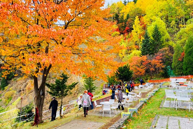 Jozankei Autumn Leaves Day Tour by Private Car - Admission Fees