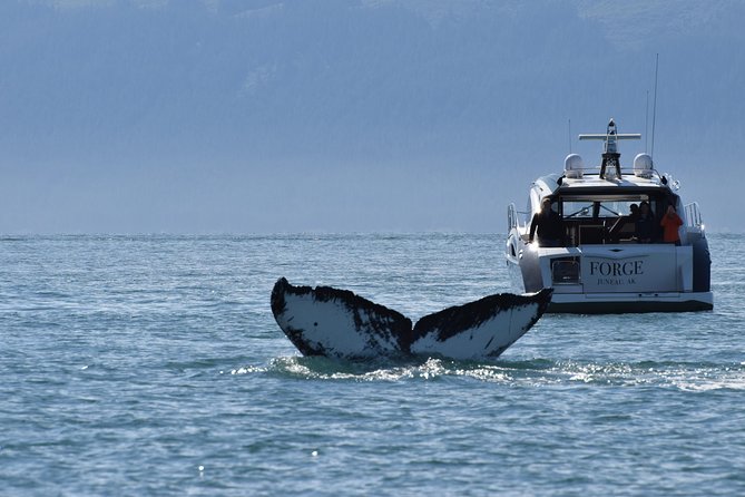 Juneau by Land & Sea - Exploring Mendenhall Glacier