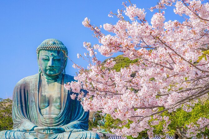 Kamakura Private Guided Tour With Traditional Experiences - Savor the Art of Japanese Tea Ceremony