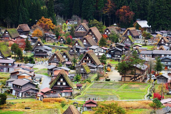 Kanazawa and Shirakawago Full Day Bus Tour - Gold Leaf Experience