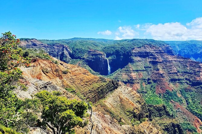 Kauai Island Private Guided Tour-Waimea Canyon From Lihue/Kapaa - Experience Waimea Canyons Natural Beauty