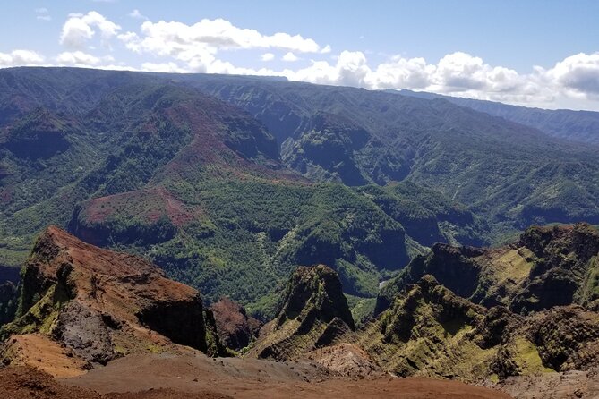Kauai Island Tour : Journey to Waimea Canyon & More Highlights - Accessibility Features