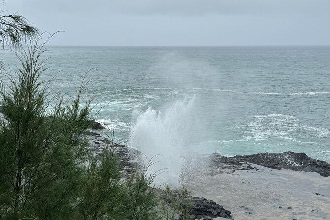 Kauai Shore Excursion - Waimea Canyon Adventure Tour - Nawiliwili - Key Attractions and Highlights