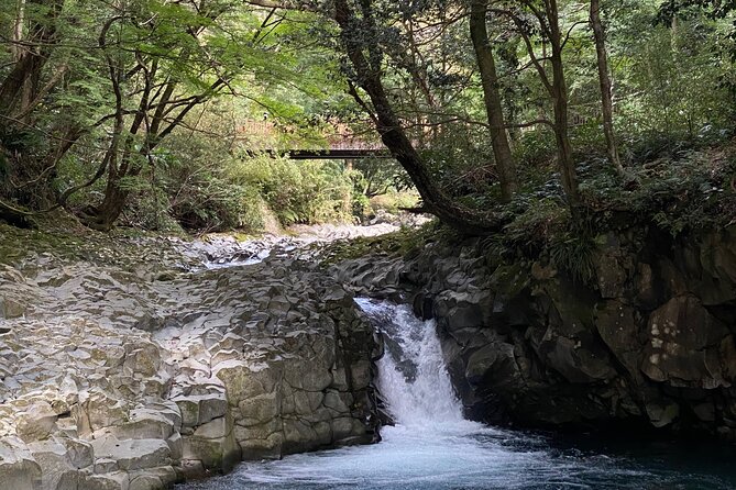 Kawazu Seven Falls Guided Tour - Inclusions