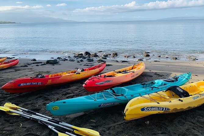 Kayak and Snorkel: Maui West Shore - Customer Reviews and Feedback