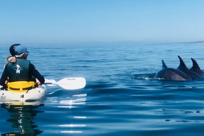 Kayak Rental for Two People in La Jolla - Safety Considerations
