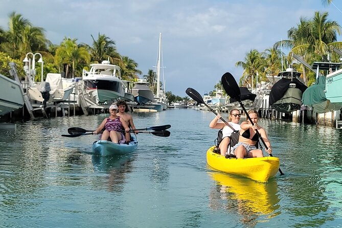 Kayak Through Mangrove Forests in the Florida Keys - The Eco-Friendly Kayak Adventure