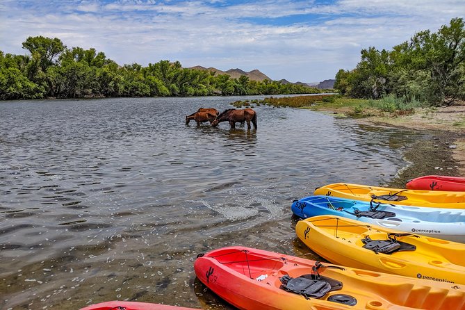 Kayaking the Salt River Foxtail Trip - Participant Guidelines and Requirements