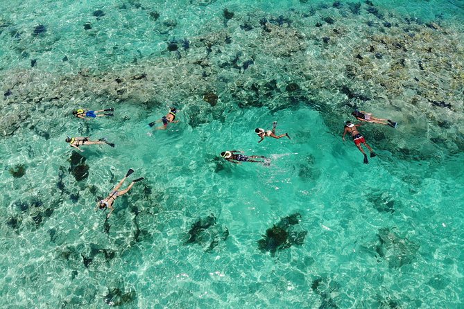 Key West Sunset Snorkel With Unlimited Draft Beer & Wine - Beverage Offerings