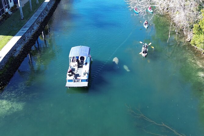 Kings Bay Eco Tours - Customer Experiences and Feedback