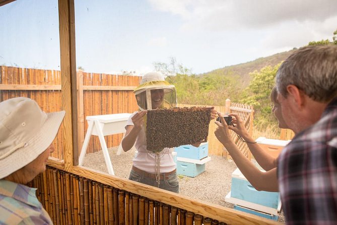 Kona Tour: Bee Farm, Kona Coffee, and National Historical Parks - Kaloko-Honokohau National Historical Park
