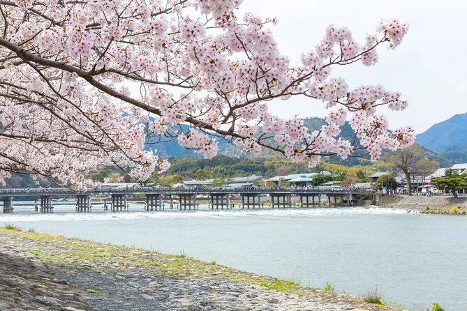Kyoto Exclusive Private Tour With Vehicle & Professional Guide - Pickup Information