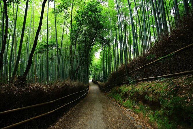 Kyoto Full Day Trip From Osaka - Accessibility and Traveler Information